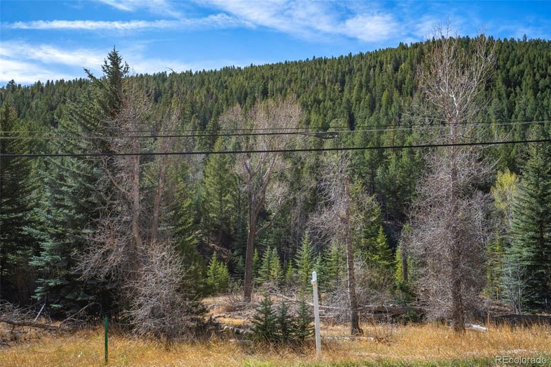 1851 Hwy 103 , Idaho Springs, CO 80452