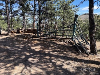 433 Gunn Ave, Berthoud, CO 80513