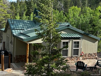 131 County Road 90, Allenspark, CO 80510
