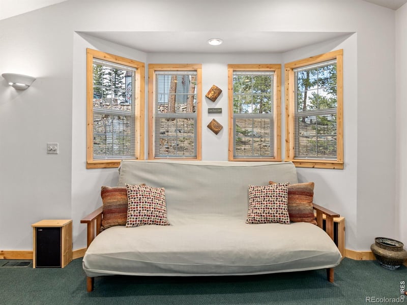 131 County Road 90, Allenspark, CO 80510