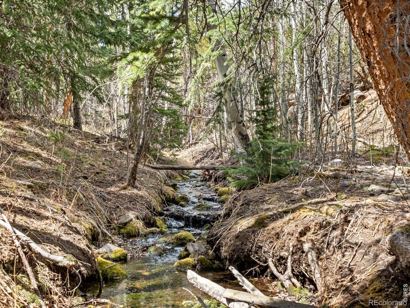 131 County Road 90, Allenspark, CO 80510