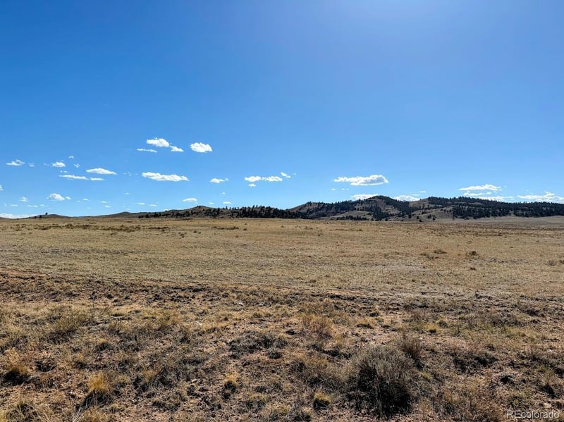 0000 Chickasaw Rd, Hartsel, CO 80449