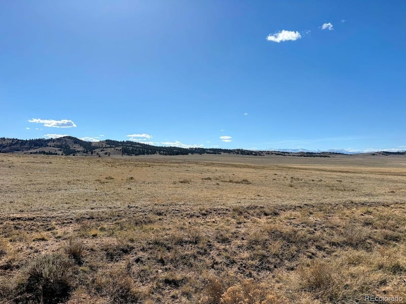 0000 Chickasaw Rd, Hartsel, CO 80449