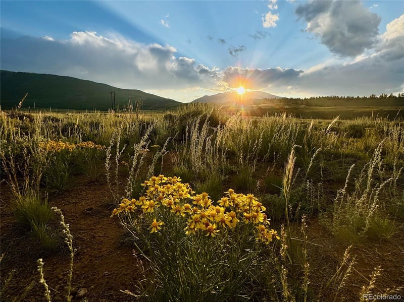 Decagon Loop Parcel 12, Twin Lakes, CO 81251