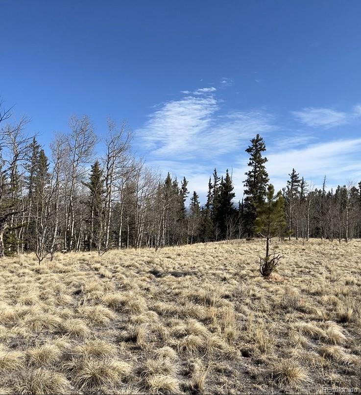 27 Warpath Rd, Como, CO 80432