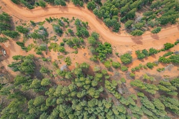 13464 Deer Ridge Way, Larkspur, CO 80118