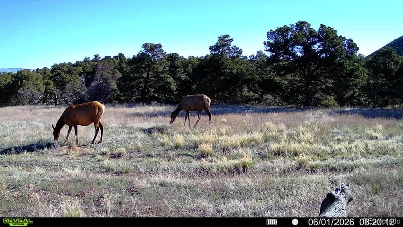 County Road 560, Gardner, CO 81040