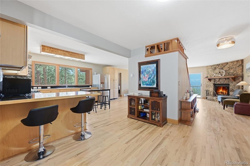 16 Auk Ln, Bailey, CO 80421