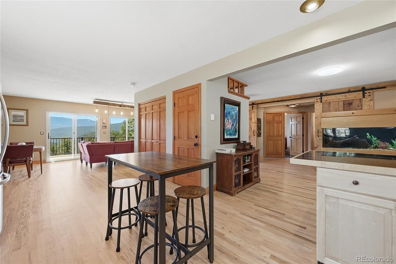 16 Auk Ln, Bailey, CO 80421