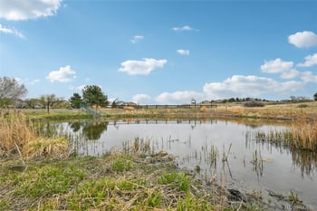 24081 Royal Meadows Ave, Parker, CO 80138