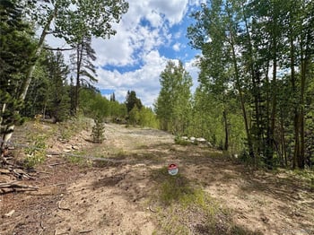 000 Beaver Creek Rd, Alma, CO 80420