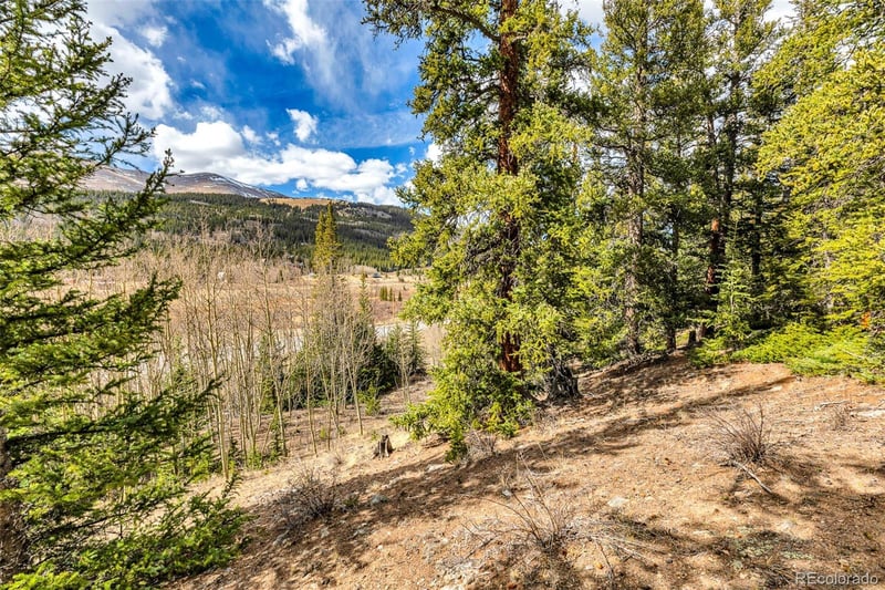 55780 Highway 9 , Alma, CO 80440