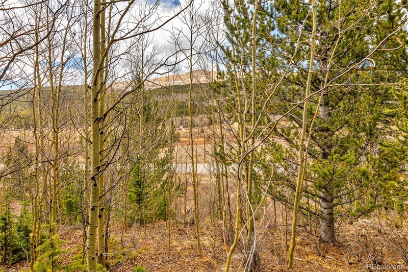 55780 Highway 9 , Alma, CO 80440