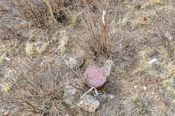 55780 Highway 9 , Fairplay, CO 80440