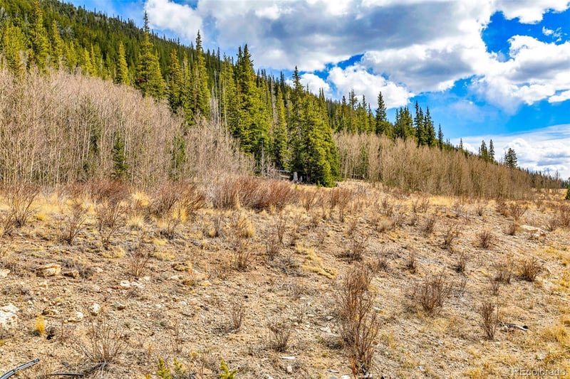 55780 Highway 9 , Fairplay, CO 80440