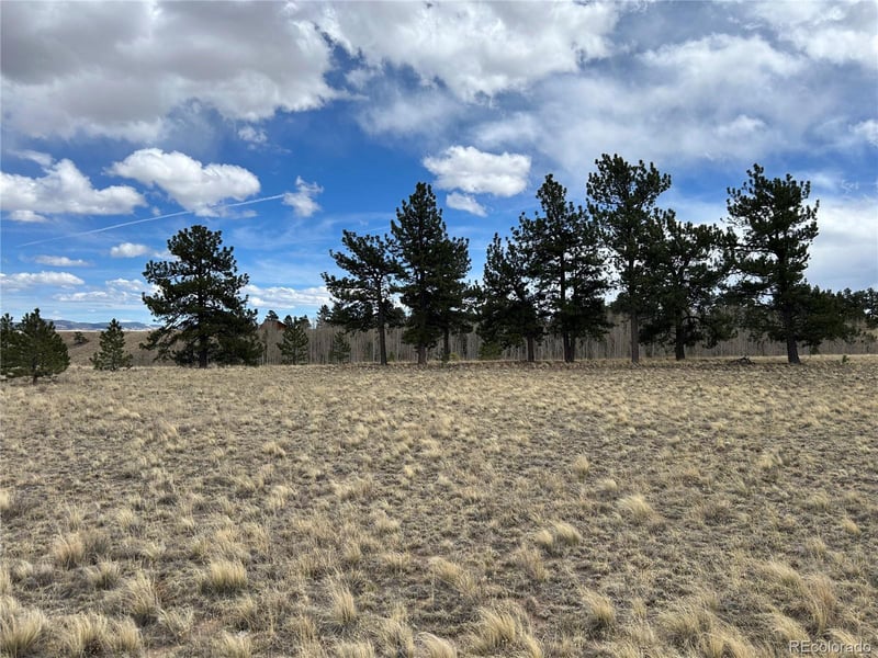 304 Brahma Cir, Hartsel, CO 80449