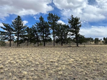 304 Brahma Cir, Hartsel, CO 80449