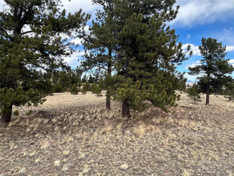 304 Brahma Cir, Hartsel, CO 80449