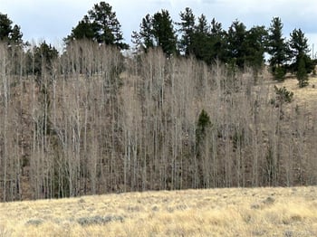 304 Brahma Cir, Hartsel, CO 80449