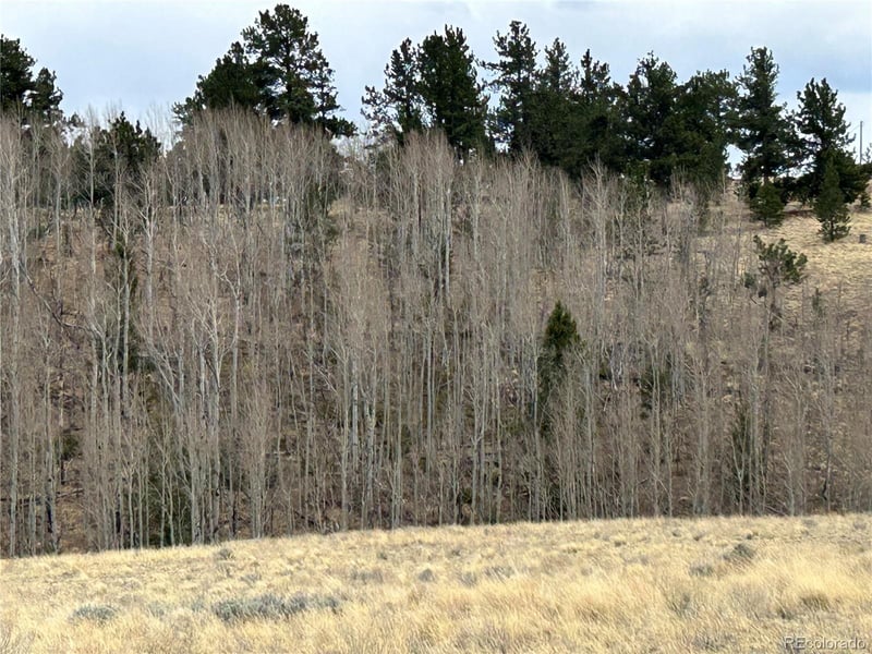 304 Brahma Cir, Hartsel, CO 80449