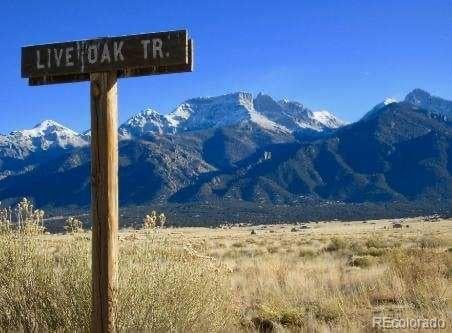 412 Camino Del Rey, Crestone, CO 81131