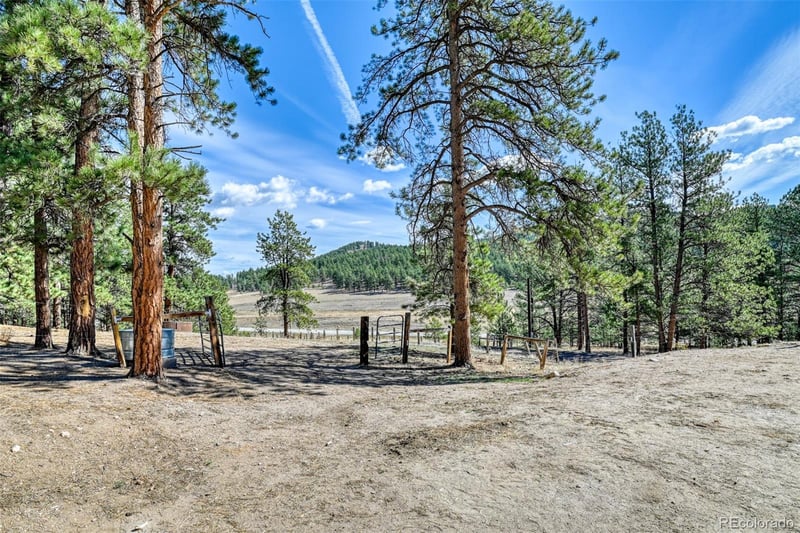 37081 County Road 77, Lake George, CO 80827