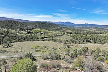 53916 Kk Rd, Collbran, CO 81624