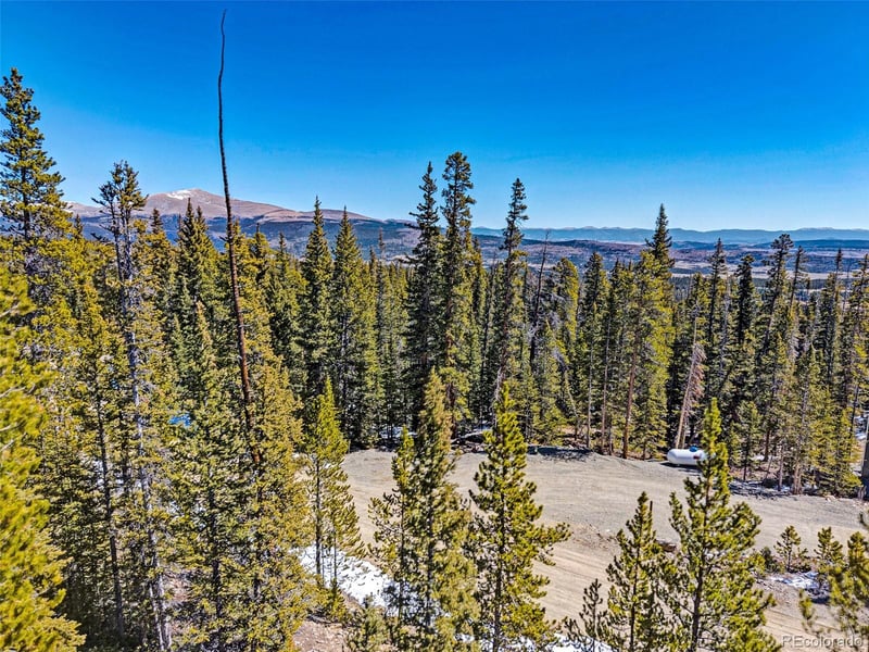 313 Porcupine Rd, Fairplay, CO 80440