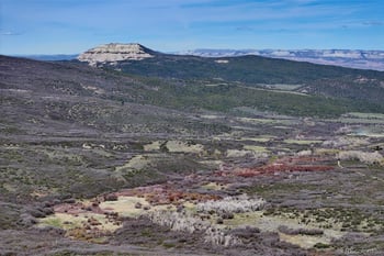 5962 Highway 65 , Mesa, CO 81643