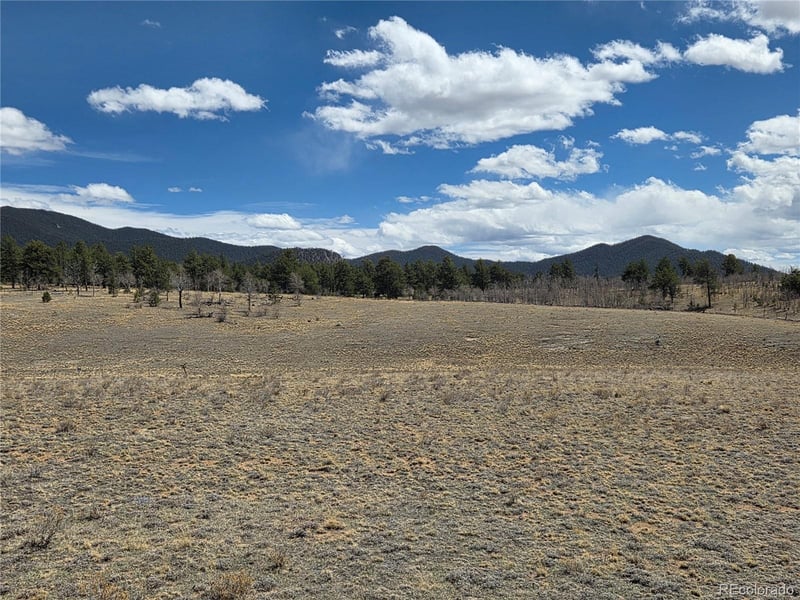 3489 Ute Tc, Hartsel, CO 80449