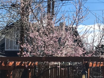 1058 Garfield St, Denver, CO 80206