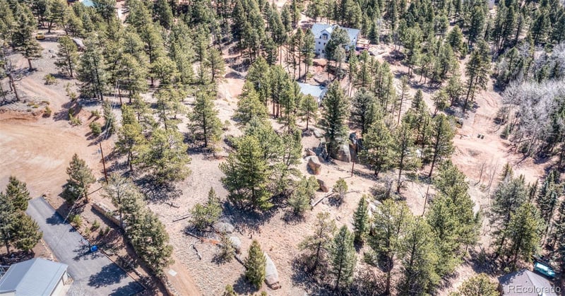 110 La Abu Trl, Florissant, CO 80816