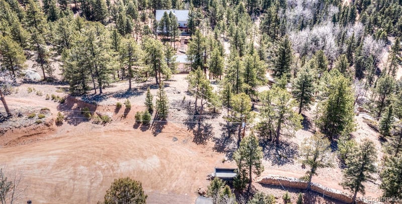 110 La Abu Trl, Florissant, CO 80816