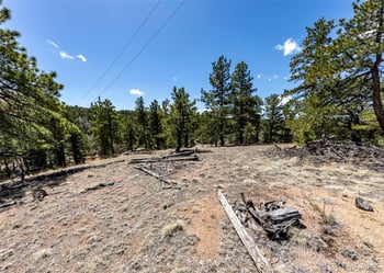 110 La Abu Trl, Florissant, CO 80816