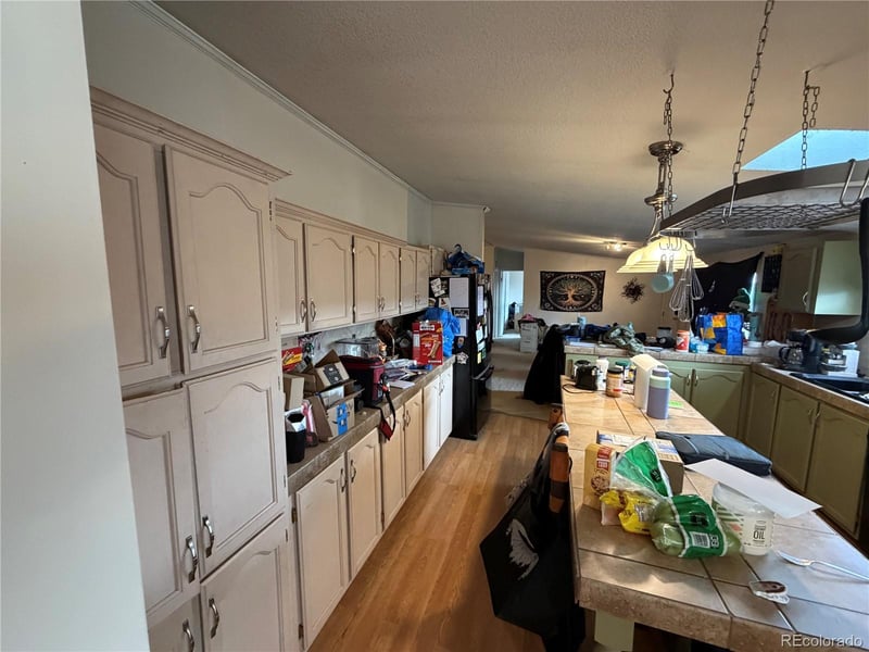 131 Dillon Ln, Florissant, CO 80816