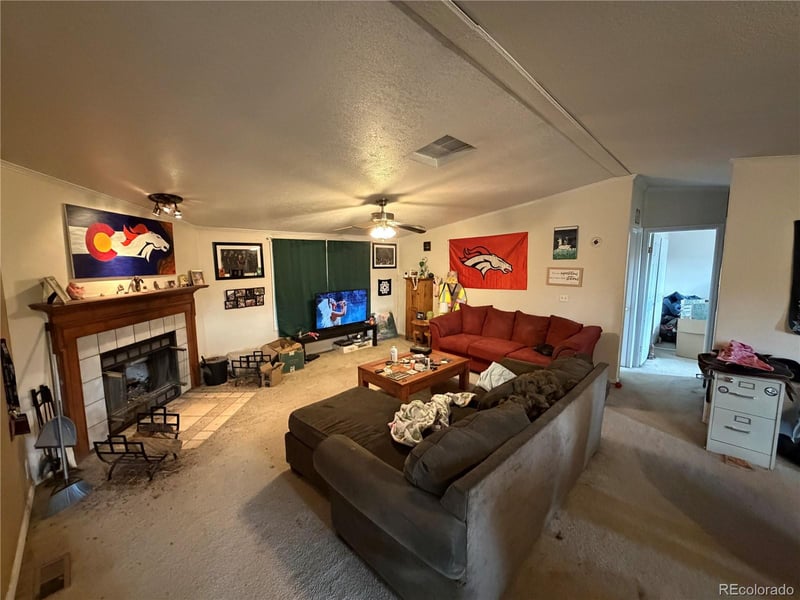 131 Dillon Ln, Florissant, CO 80816