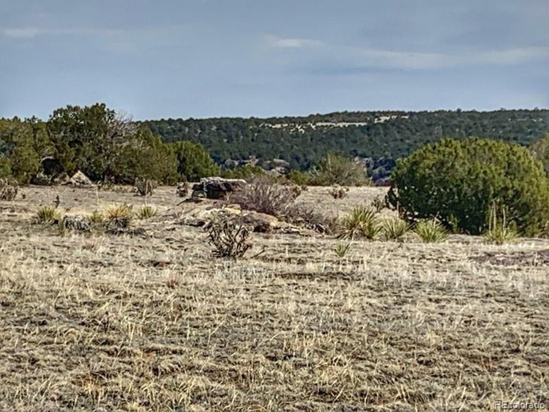 Lot 80 Turkey Ridge Ranch, Walsenburg, CO 81089