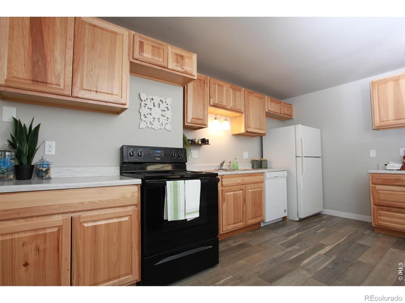 2908 Olive St, Fort Collins, CO 80521