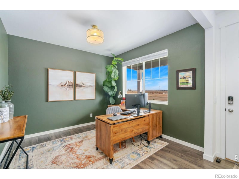 3746 Foxbrush St, Wellington, CO 80549