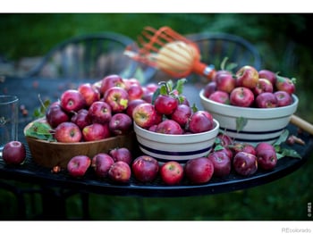 2447 20th St, Boulder, CO 80304