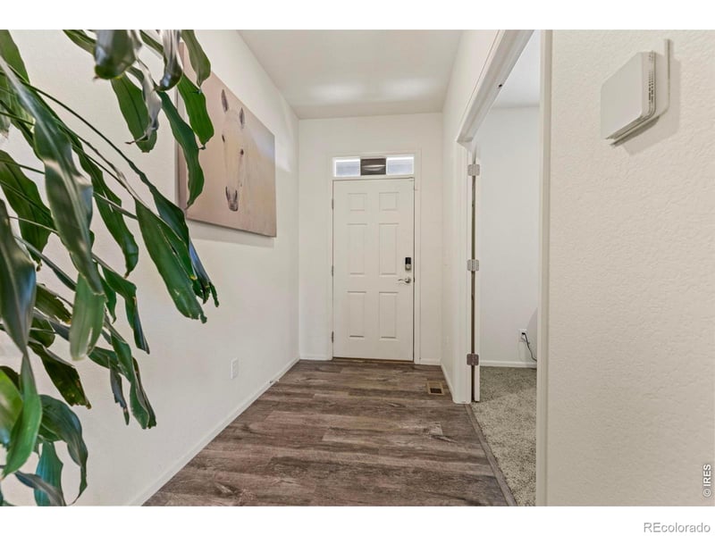 885 Camberly Dr, Windsor, CO 80550