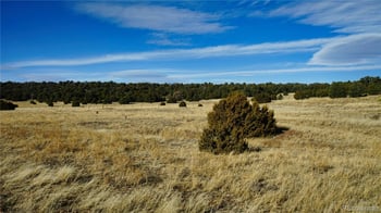 37 Navajo Ranch Resorts #4, Walsenburg, CO 81089