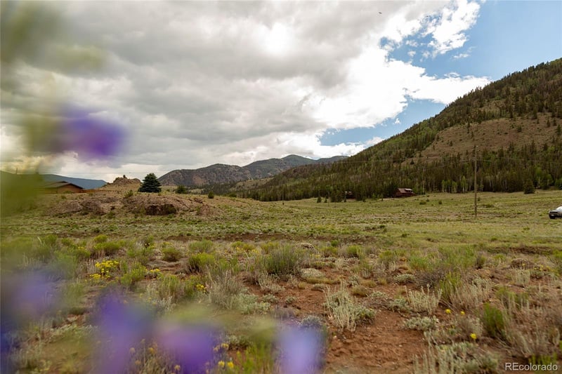 410 Macfarlane Ln, Creede, CO 81130
