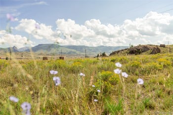 410 Macfarlane Ln, Creede, CO 81130