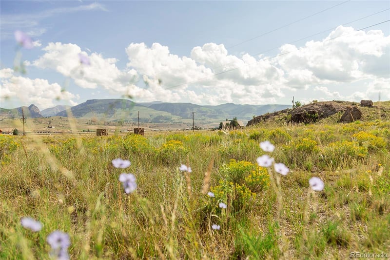 410 Macfarlane Ln, Creede, CO 81130