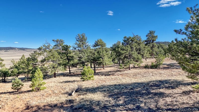 Lot 5103 Anasazi Rd, Hartsel, CO 80449