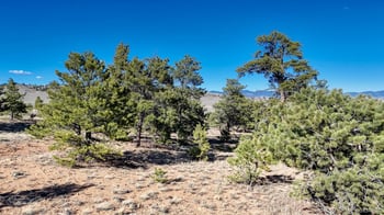 Lot 5103 Anasazi Rd, Hartsel, CO 80449
