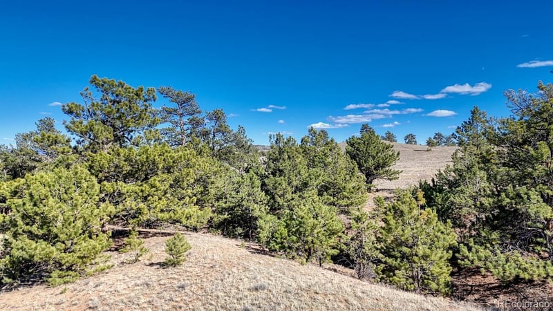 Lot 5090 - 5097 Arikara , Hartsel, CO 80449