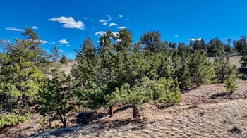 Lot 5090 - 5097 Arikara , Hartsel, CO 80449