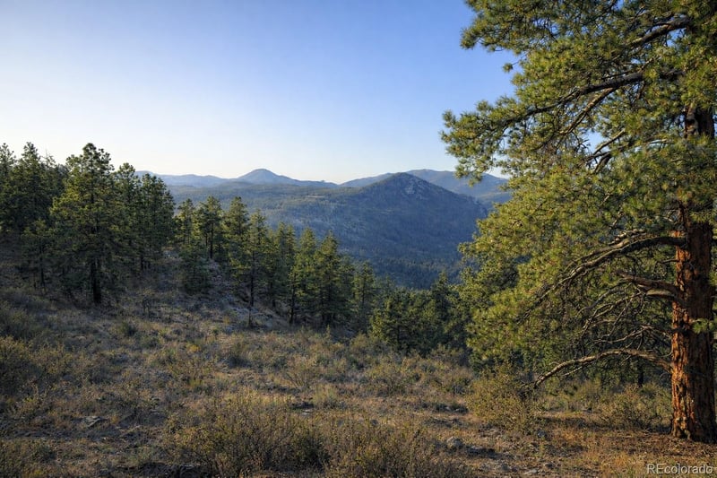 Delwood Dr, Bailey, CO 80421